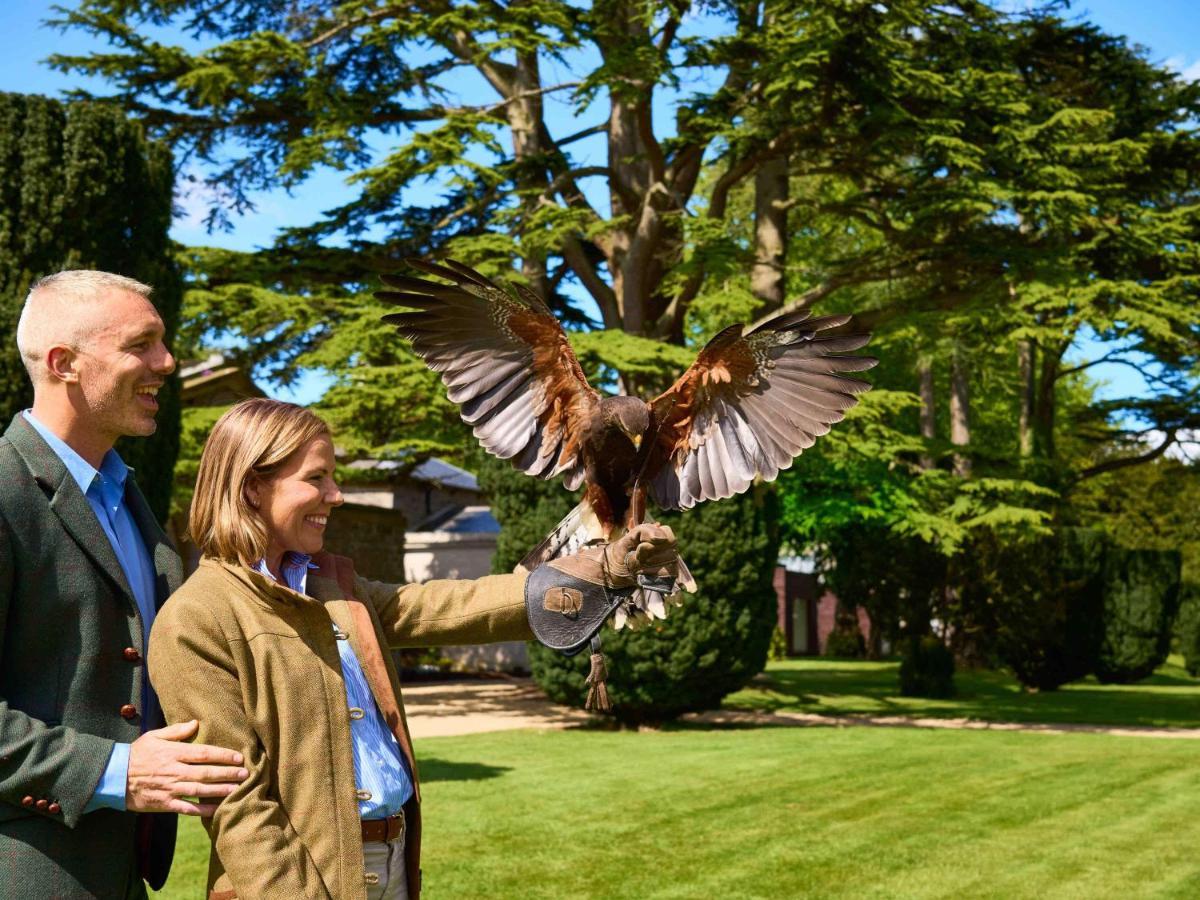 カールトン・ハウス・ホテル メイヌース エクステリア 写真 Falconry at the London Zoo